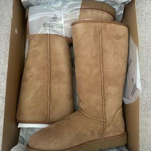 Brand New Uggs